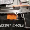 Magnum Research Desert Eagle mk XIX SS 6" 429DE DE429SRMB